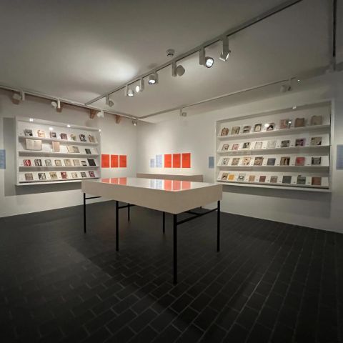 Vitrines and Tilted Shelf Units