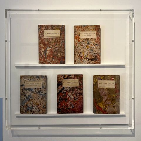 Vertical wall-mounted display with 5-sided acrylic cover.