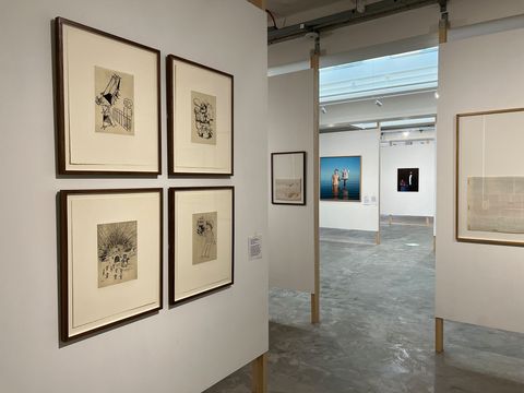 Framed works carefully hung in a white gallery room.