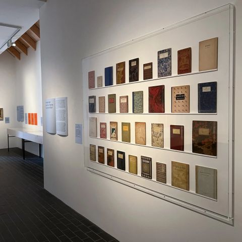 Vertical Display Case