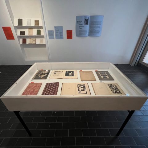 Freestanding Vitrine and Alcove Book Display